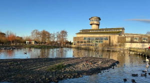 WWT Slimbridge